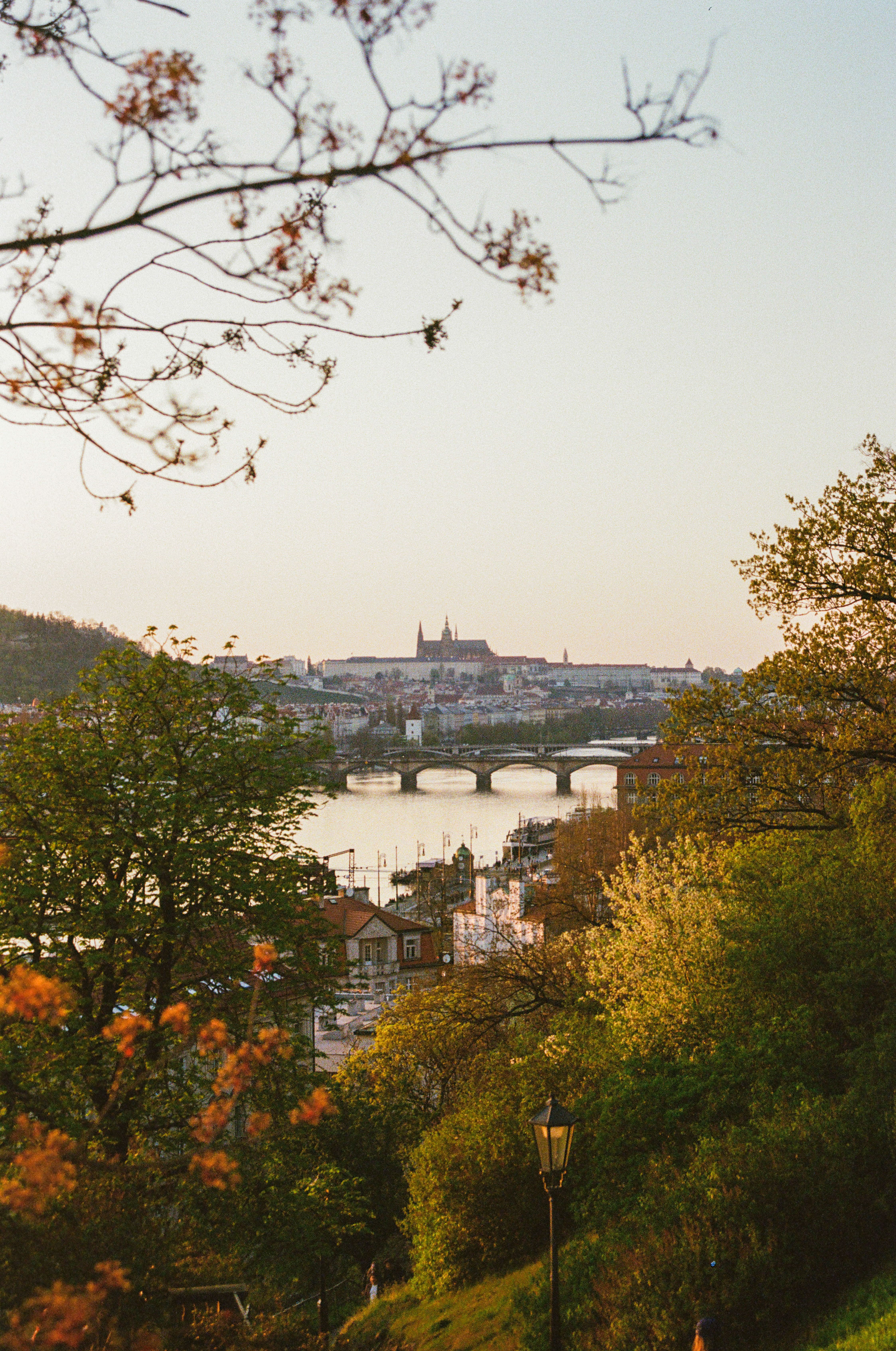 Bridge over the river in Prague with fall foliage in the foreground